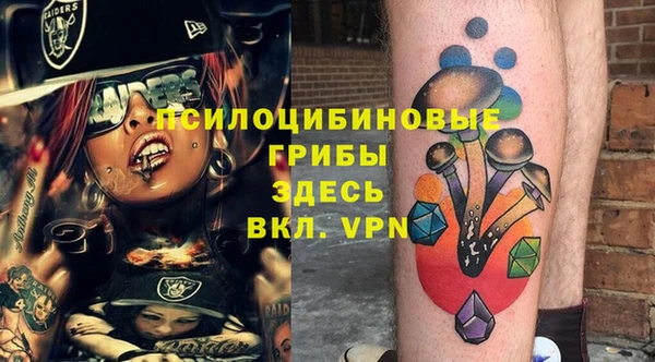 шишки Дмитров