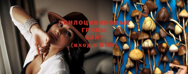 гашик Дмитриев
