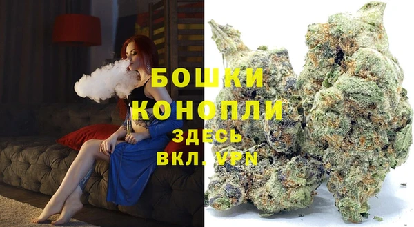 шишки Дмитров