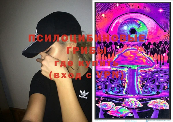 шишки Дмитров