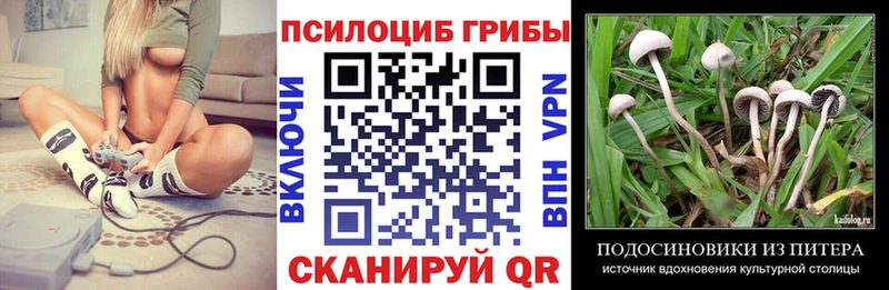 Галлюциногенные грибы прущие грибы  купить наркоту  Октябрьский 